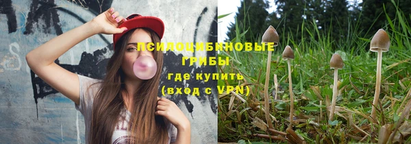 ECSTASY Алексеевка