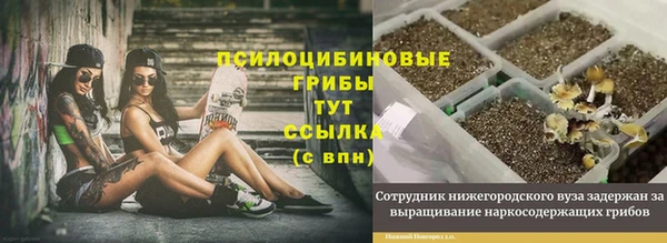 МДПВ Наволоки